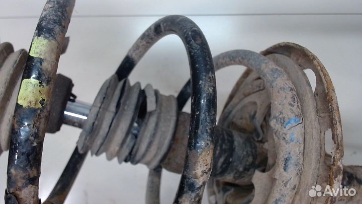 Амортизатор подвески Toyota RAV 4, 2008