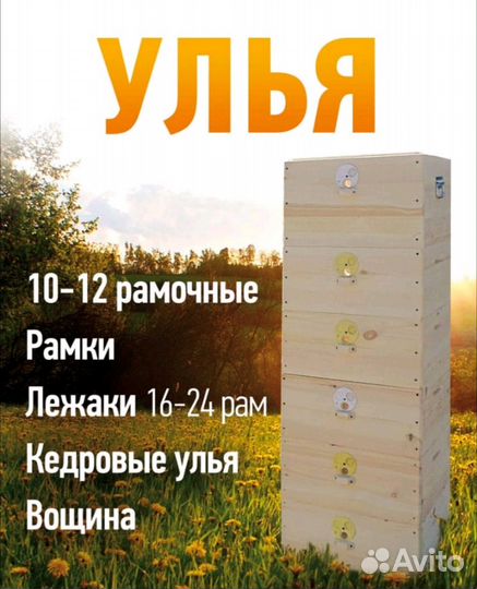 Улья из сухой сосны