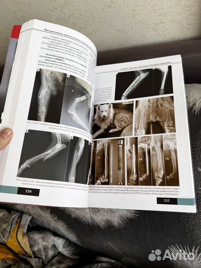 Книги по ветеринарии: по ортопедии и реабилитации