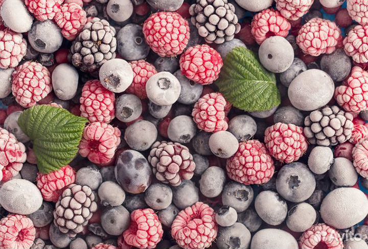 Сортировщики+Еженедельный аванс/Без опыта