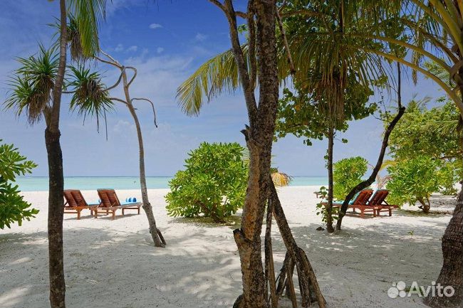 Отдых в июне на Мальдивах