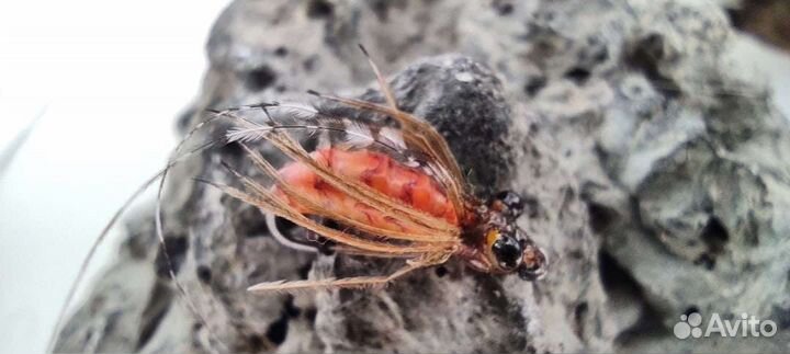 Нимфы, стримеры для ловли форели, ленка, хариуса