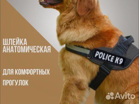 Шлейка для собаки