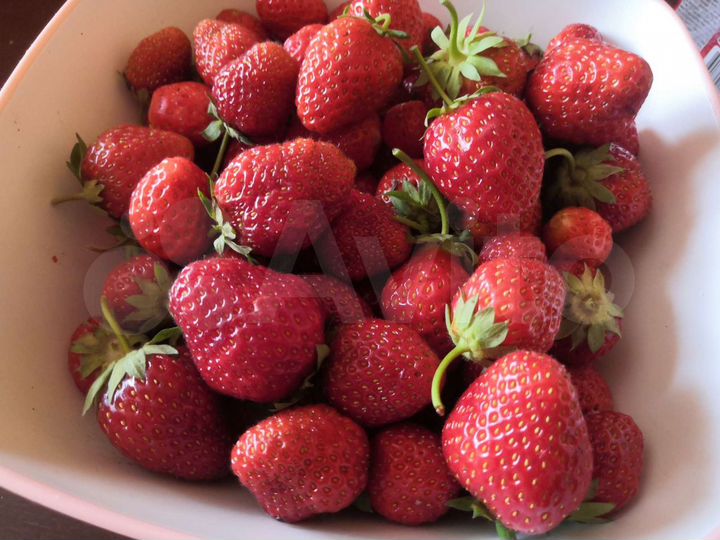 Участок 16 сот. (СНТ, ДНП)