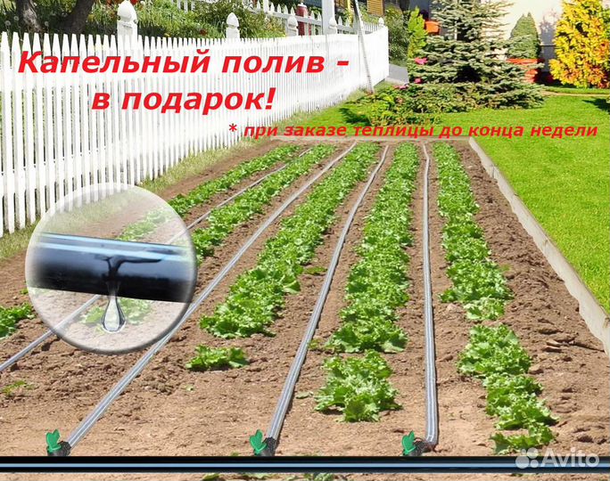 Теплицы от производителя