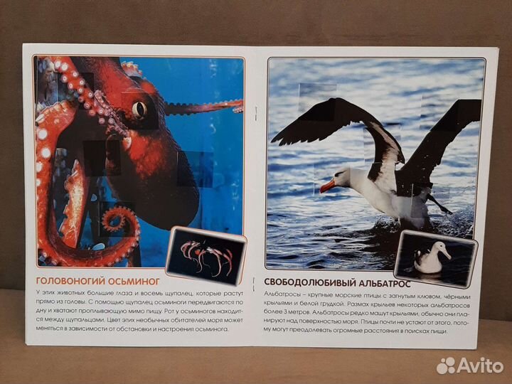 Книги о животных с фото для дошкольников 0+