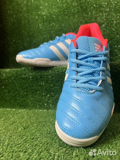 Футзалки adidas top sala blue