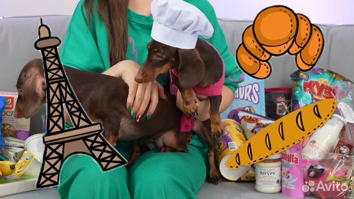 Видео, монтаж, Youtube, Reels