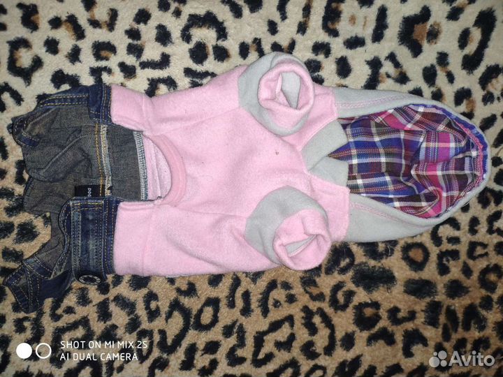 Одежда для собак мелких пород