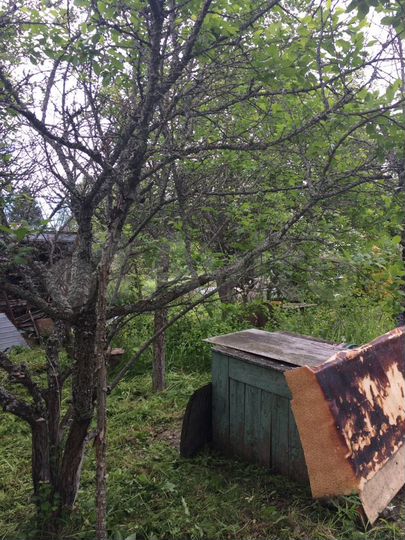 Участок 15 сот. (ИЖС)