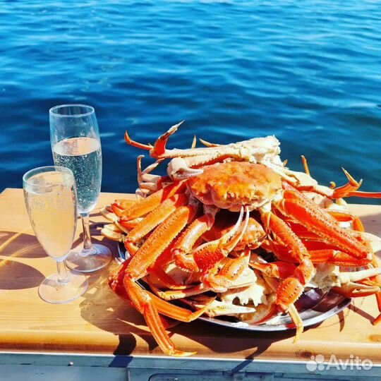 Морские прогулки на катере