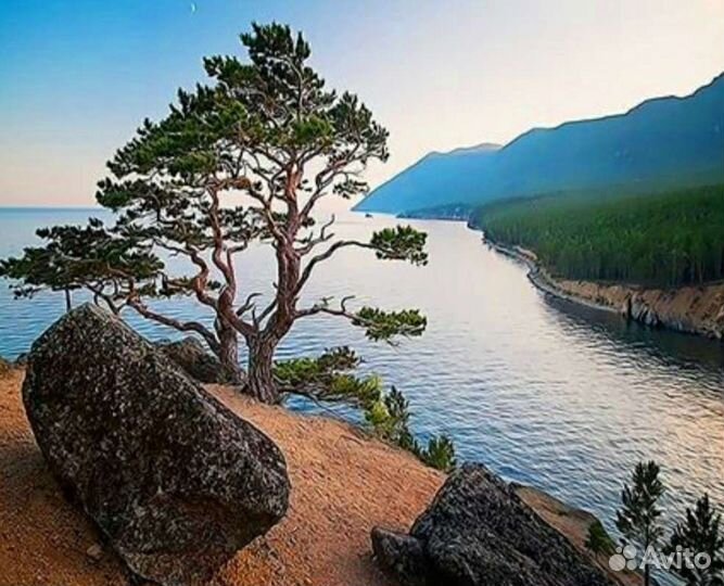 Картины по номерам 40 50 новые