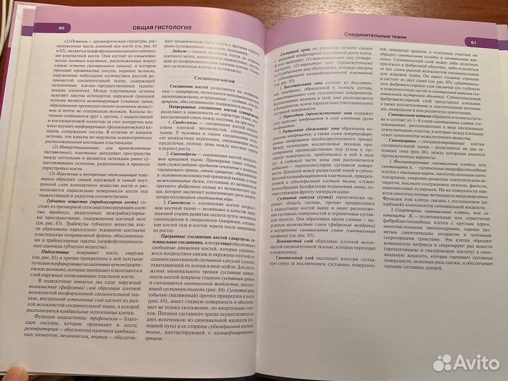 В.Л. Быков, атлас. гистология, 2015 г