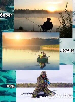Fish finder эхолот
