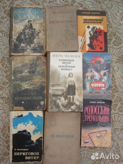 Д. Донцова. Зимнее лето весны. 2008 год