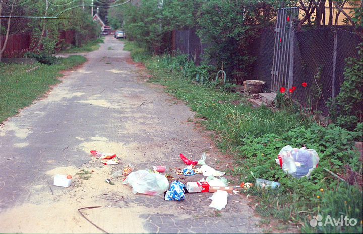 Сканирование оцифровка пленки 35mm