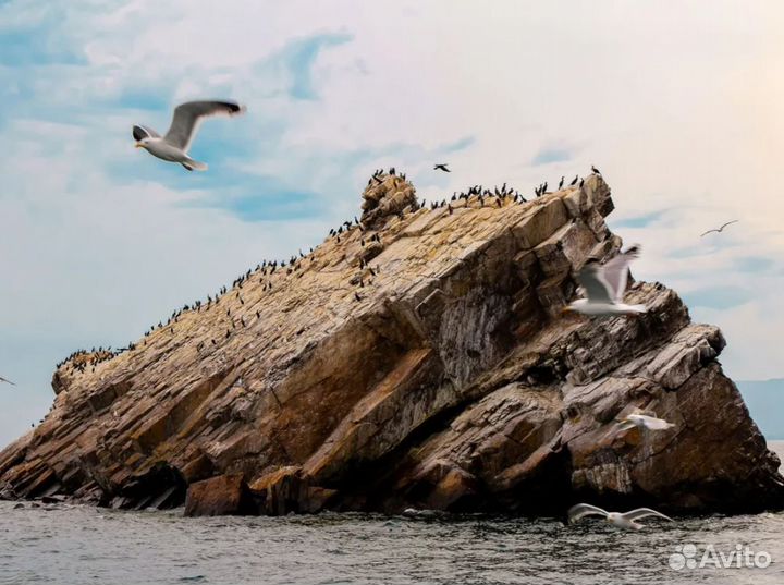 VIP-тур на Baikal 6 дней