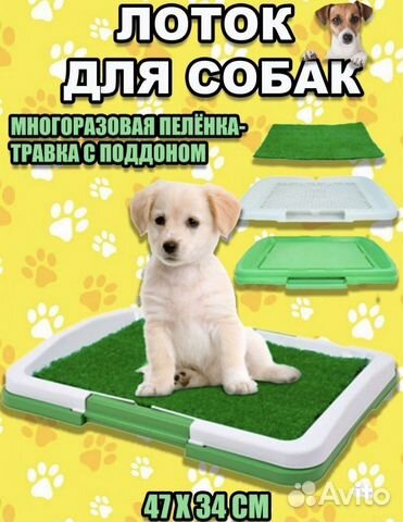 Туалет лоток для собак