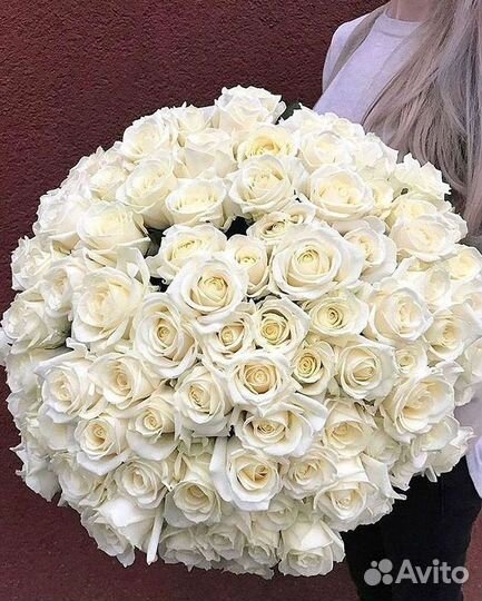 101 Роза Цветы Букеты 51 25 Роз Доставка