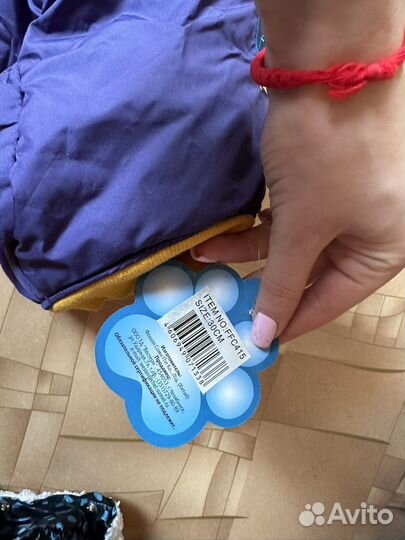 Одежда для собак