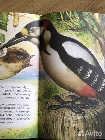 Книги: Хрестоматия для сада, Рассказы Бианки