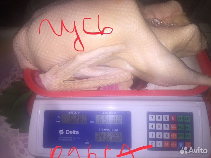 Молоко Козье-Тушка Гуся,Утки,перепёлки