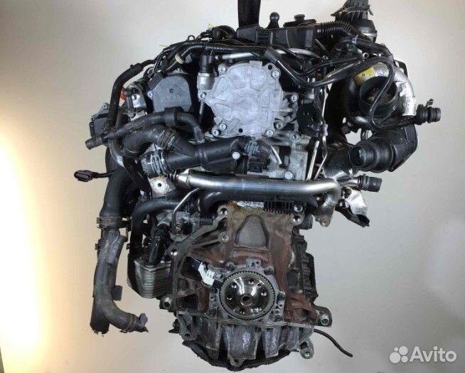 Двигатель CEG Volkswagen Jetta V 2.0 дизель