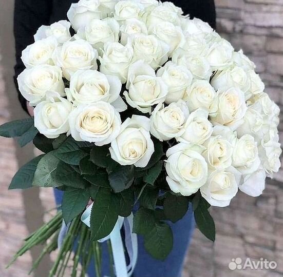 Розы Высокие 150см 160см 170см 180см 190см 2м