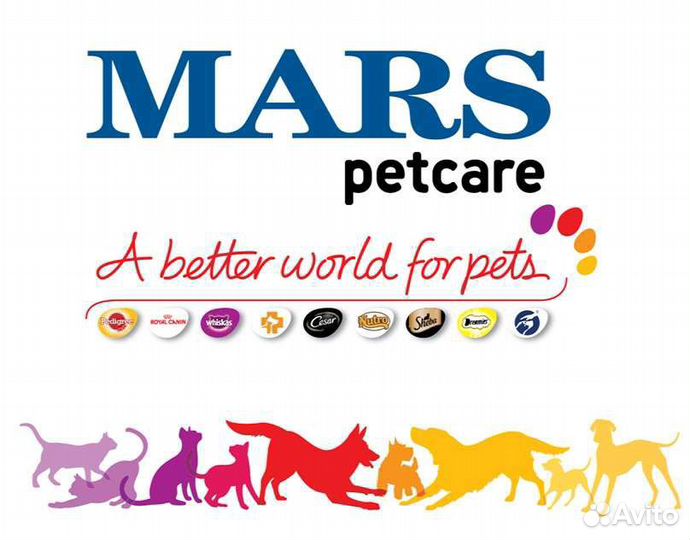 Торговый представитель без опыта