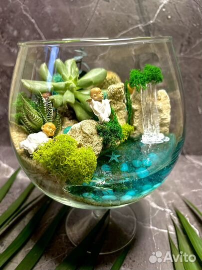 Подарок Флорариум