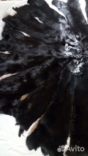Шкуры черной лисы
