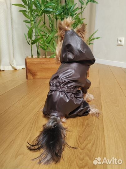 Комбинезон, дождевик