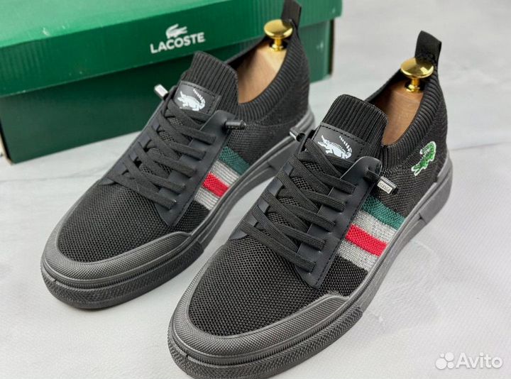 Мужские кеды Lacoste