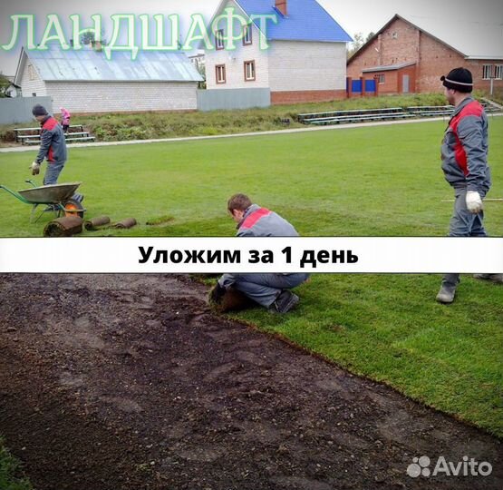 Спортивный рулонный газон доставка Мытищи