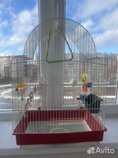 Клетка для попугая