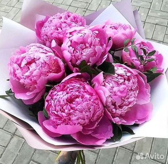 Пионы Букет пионов Доставка цветов