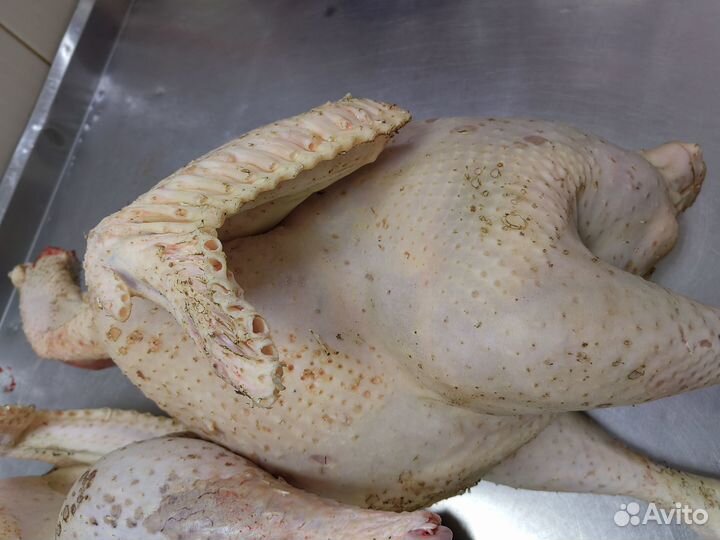 Индейка, домашнее мясо