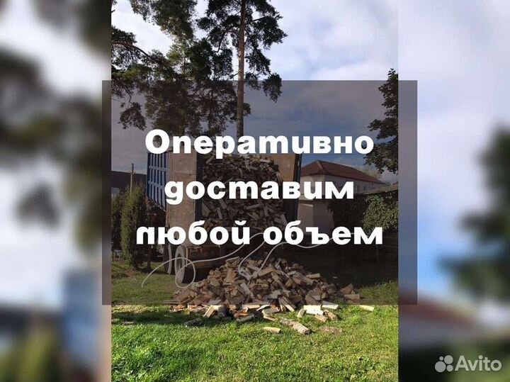 Дрова Качественные