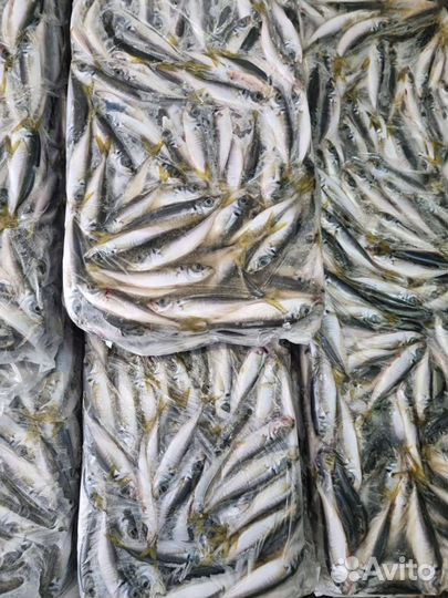 Камбала (калкан)