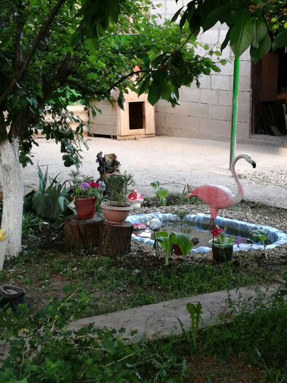 3-к. квартира, 59,3 м², 1/1 эт.