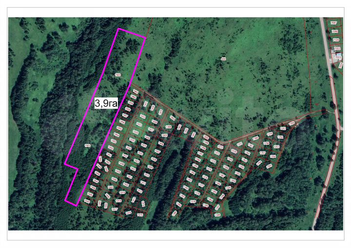 Участок 3,9 га (СНТ, ДНП)