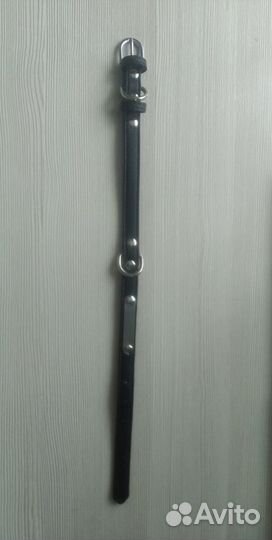 Ошейник собачий