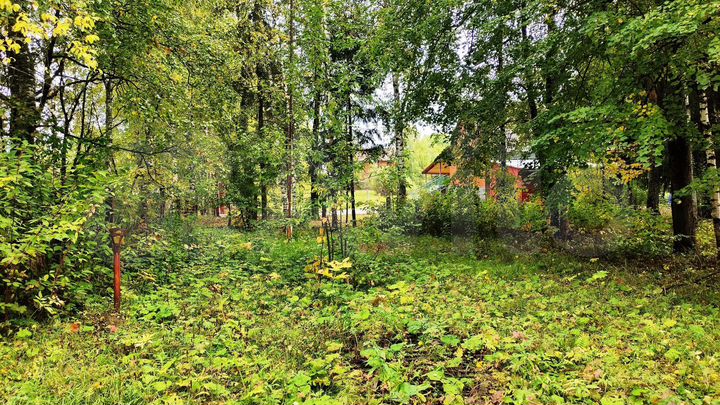 Участок 3 га (промназначения)