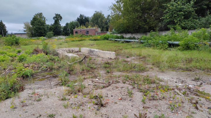 Участок 20 сот. (промназначения)