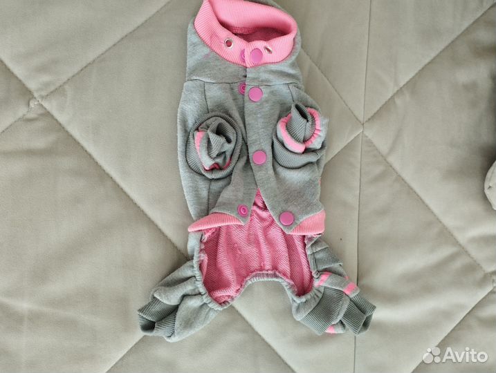 Одежда для маленьких собак