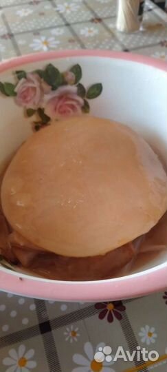 Чайный гриб и уксус чайного гриба