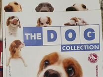 Щенки и журналы "THE DOG collection"