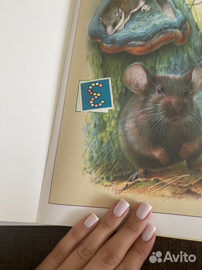 Школа 7 гномов 3