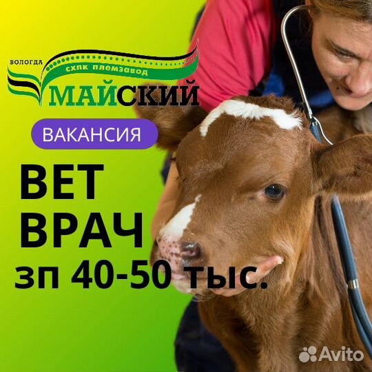 Ветеринарный врач крс