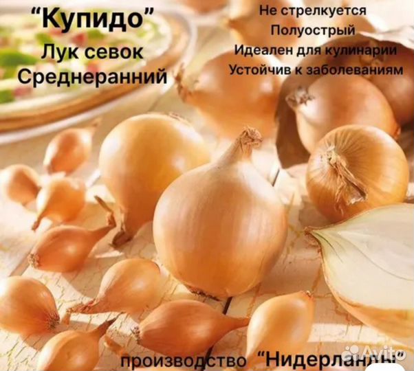 Лук- севок